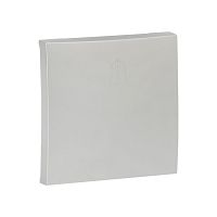 EKF Валенсия лицевая панель кнопки звонка 10А сталь EKF PROxima (ESV10-L-026-30)