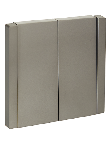 IEK FORTE&PIANO Выключатель 2-клавишный 10А FP505 сталь (FP-V20-0-10-1-K46) IEK FORTE&PIANO Выключатель 2-клавишный 10А FP505 сталь (FP-V20-0-10-1-K46)