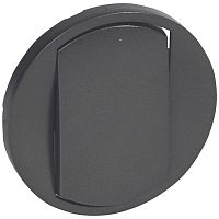 LEGRAND Celiane Лицевая панель выключателя/переключателя однополюсного 067001/02/31/32 графит (067901 )