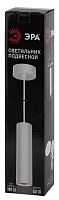 ЭРА Подсветка  подвесной, GU10, D80*300мм, белый PL1 GU10 WH 300  (20/240)  (Б0041508) ЭРА Подсветка  подвесной, GU10, D80*300мм, белый PL1 GU10 WH 300  (20/240)  (Б0041508)