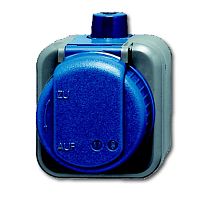 ABB Розетка 2Р+E 10/16А 250В IP66 для открытого монтажа Duro 2000 WDI  (2300 EWDI)  (2CKA002083A0343)