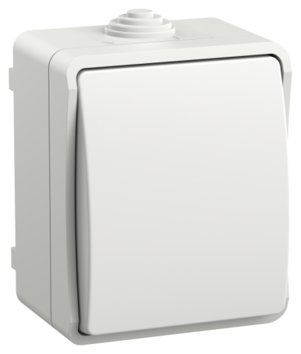 IEK FORS Выключатель 1-клавишный проходной для открытой установки 10А IP54 ВС20-1-0-ФБ белый (EVS10-K01-10-54-DC)
