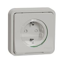 SCHNEIDER ELECTRIC MUREVA S розетка с з/к. и шт.,  скрытой установки, белый,IP55 (MUR39132)