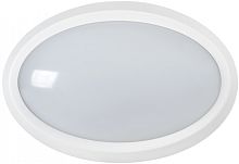IEK Светильник светодиодный ДБП-12w 4000K 840Лм IP65 овальный пластиковый белый (LDPO0-5040-12-4000-K01)