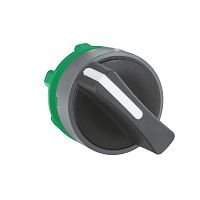SCHNEIDER ELECTRIC Головка переключателя двухпозиционного, с фиксацией, C0 (ZB5AD4C0)
