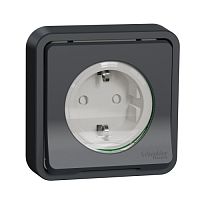 SCHNEIDER ELECTRIC MUREVA S розетка с  з/к. и шт., скрытой установки, антрацит,IP55 (MUR36132)