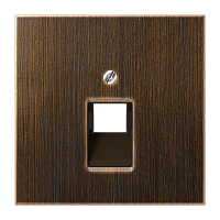 JUNG Накладка для 1-ой телефонной/компютерной розетки  IAE/UAE  (1 x 8-пол.)   Серия LS990  Материал- мет (ME2969-1UAAT)