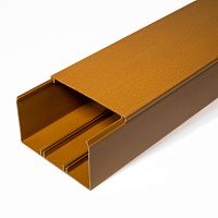 ПРОМРУКАВ Кабель-канал бук второй замок 100х60 (16м/уп) ПРОМРУКАВ  (25447)