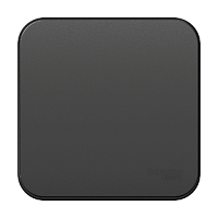 SCHNEIDER ELECTRIC Выключатель одноклавишный наружный BLАNCА  (cх.1) с самовозвратом, с изолирующей пластиной, 10А, ант (BLNCA101016)