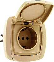EKF Париж Розетка с заземлением с крышкой 16А бежевая (ESR16-029-20)