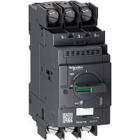 SCHNEIDER ELECTRIC Выключатель автоматический магнитный расцепитель 73А под кольцевой наконечник (GV3L736)