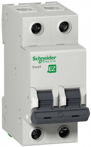 SCHNEIDER ELECTRIC Выключатель автоматический двухполюсный 25A C 4.5кА EASY 9 (EZ9F34225)