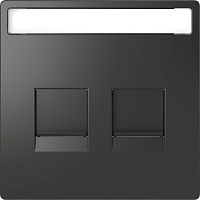SCHNEIDER ELECTRIC Накладка центральная D-Life для 2-х модульных разъемов антрацит SD (MTN4564-6034)
