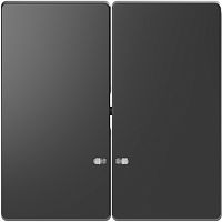 SCHNEIDER ELECTRIC Клавиша двойная D-Life с линзой для LED модуля антрацит SD (MTN3420-6034)