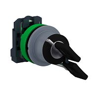 SCHNEIDER ELECTRIC Переключатель 22мм, 2 позиции, с ключом, заподлицо, 1НО, пластик C0 (XB5FG21C0)