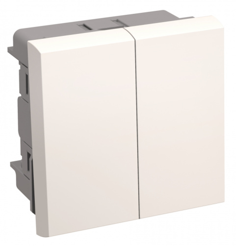 IEK Выключатель двухклавишный на 2 модуля ВК1-22-00-П (CKK-40D-VD2-K01)